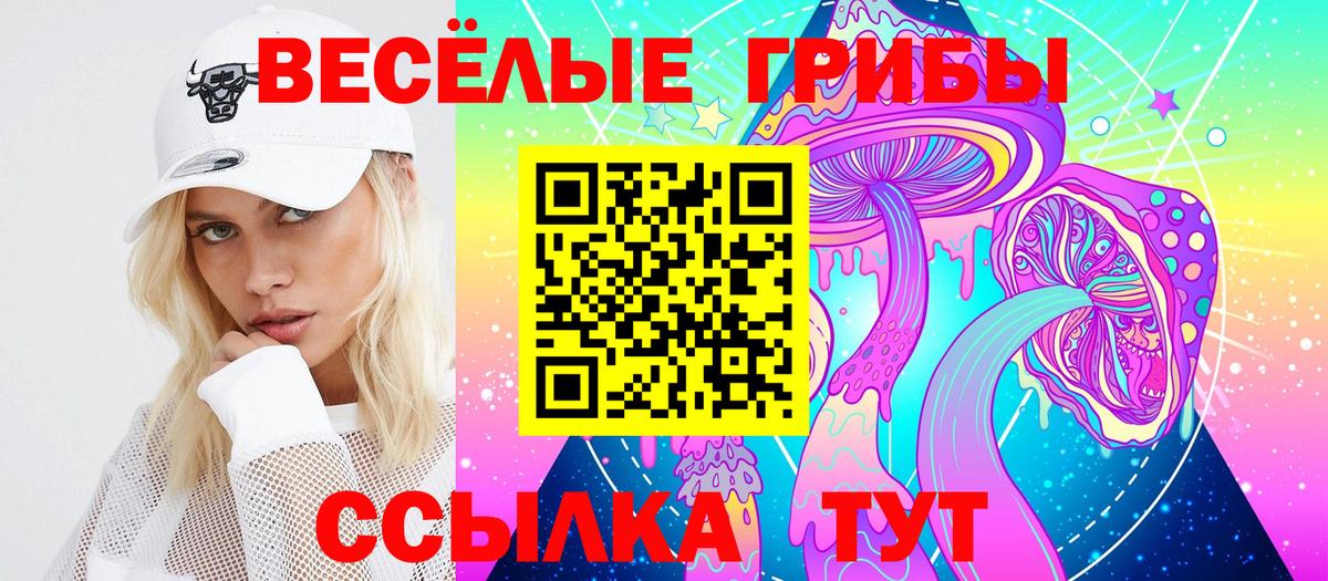 Чебаркуль  наркотики  Вход с VPN  Галлюциногенные грибы Cubensis 